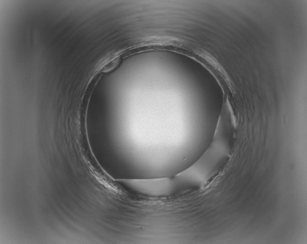 X0000082950834200702152238