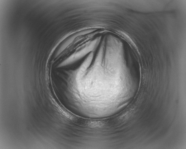 X0000082950835200702152238