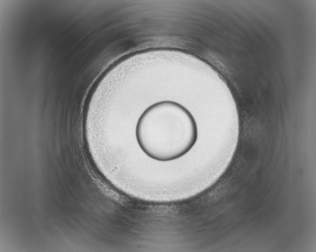 X0000082950836200702152238