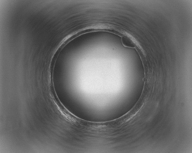 X0000082950837200702152238