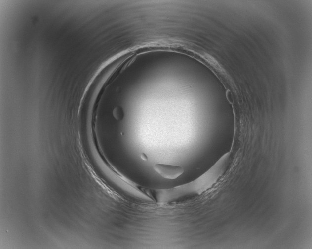 X0000082950838200702152238