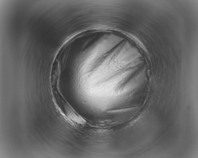 X0000082950839200702152238