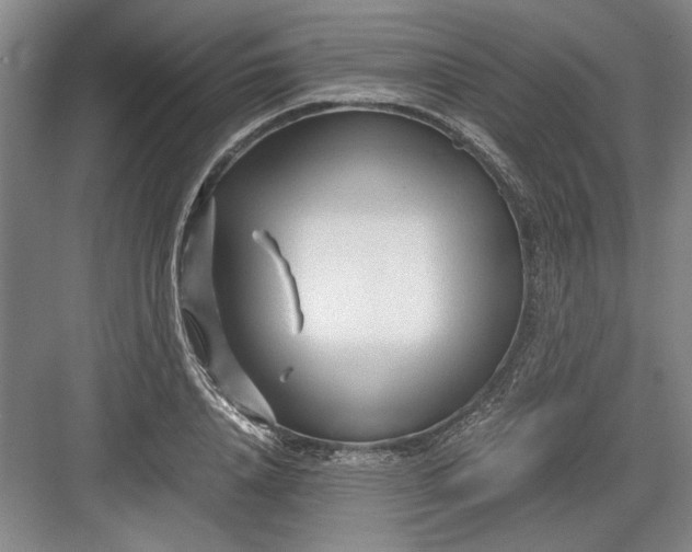 X0000082950840200702152238