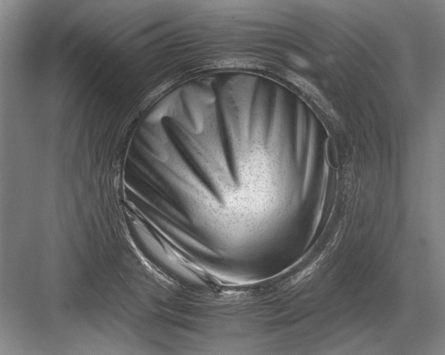 X0000082950841200702152238