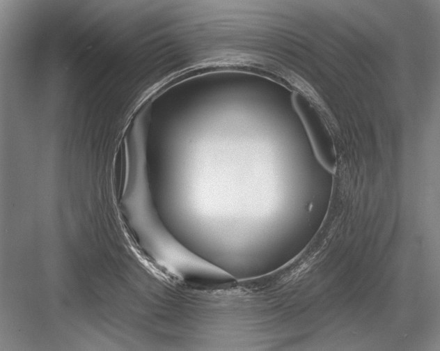 X0000082950842200702152238