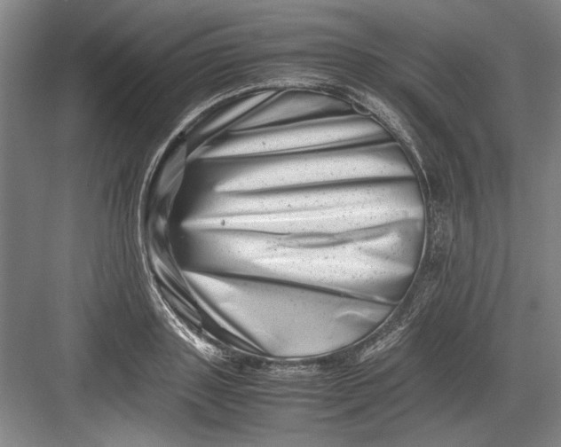 X0000082950843200702152238