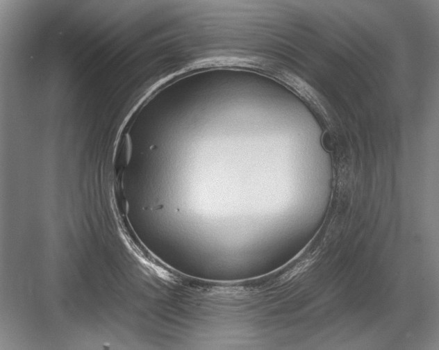 X0000082950844200702152238