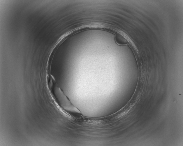 X0000082950845200702152238