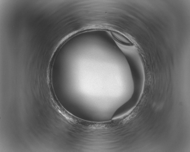 X0000082950846200702152238