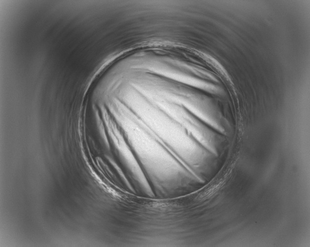 X0000082950847200702152238