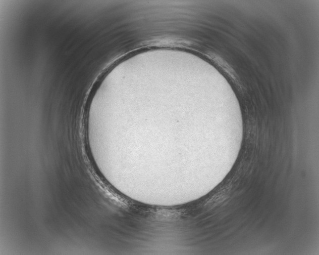 X0000082950848200702152238