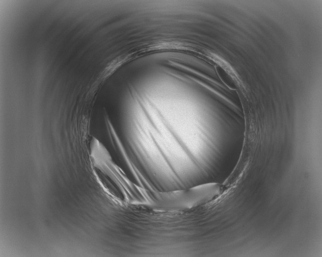 X0000082950849200702152238