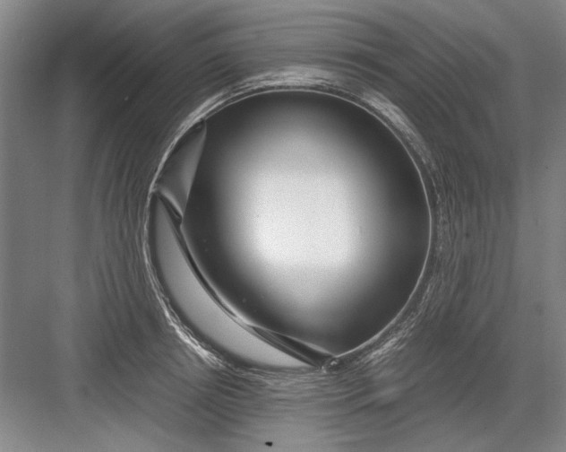 X0000082950850200702152238