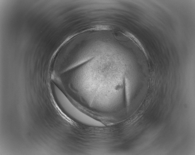 X0000082950851200702152238