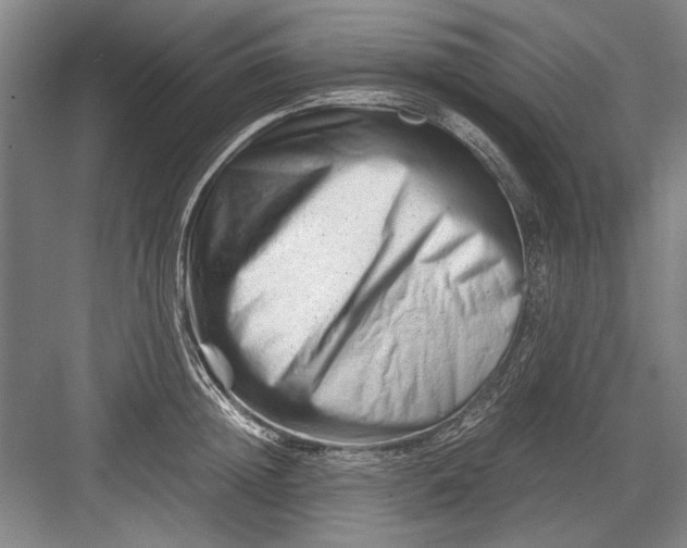 X0000082950852200702152238