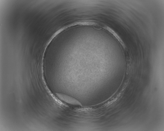 X0000082950853200702152238