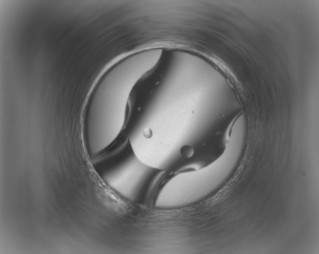 X0000082950854200702152238