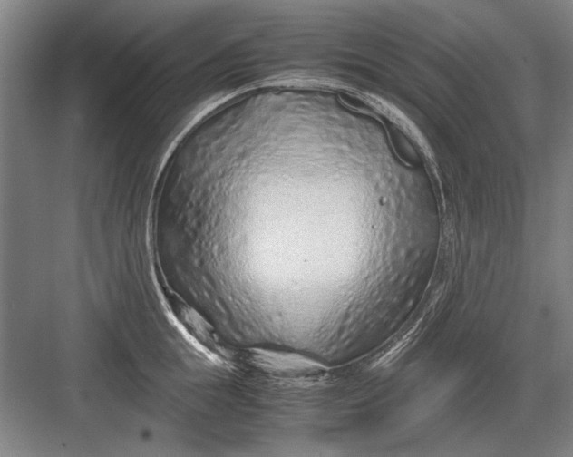 X0000082950855200702152238