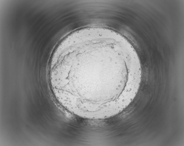 X0000082950856200702152238