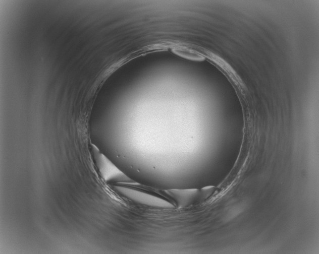 X0000082950857200702152238