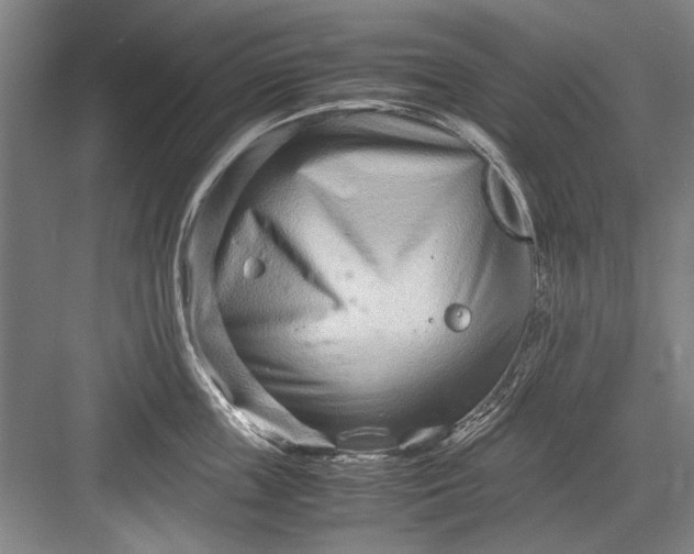 X0000082950859200702152238