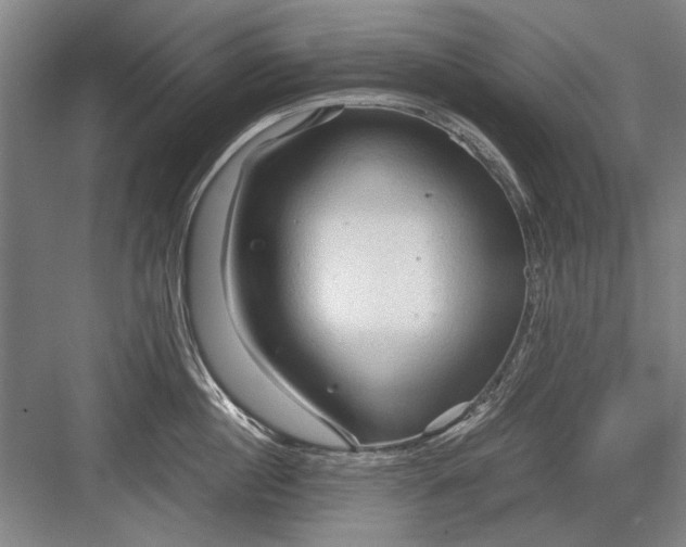 X0000082950860200702152238