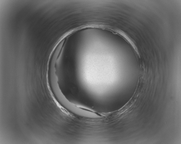 X0000082950861200702152238