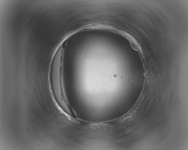 X0000082950863200702152238