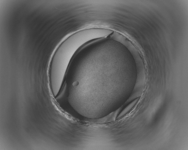 X0000082950864200702152238