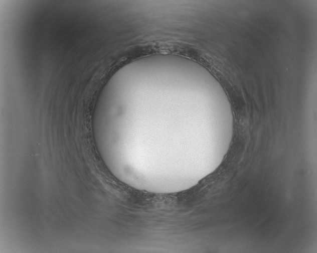 X0000082950865200702152237