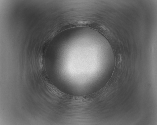 X0000082950866200702152237