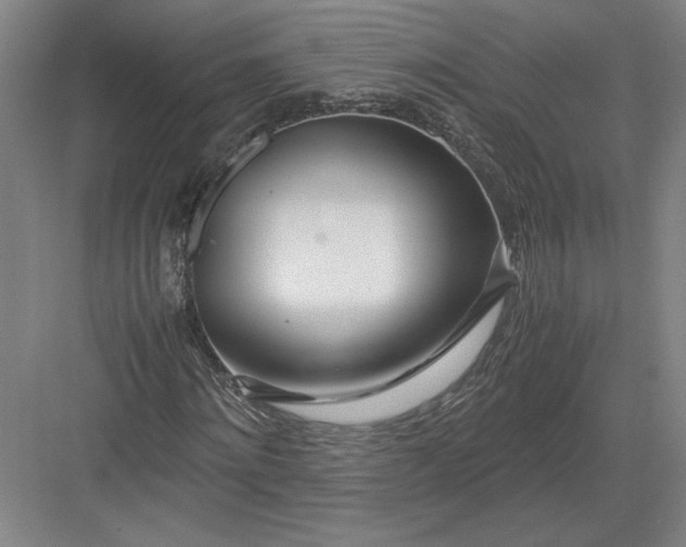 X0000082950868200702152237