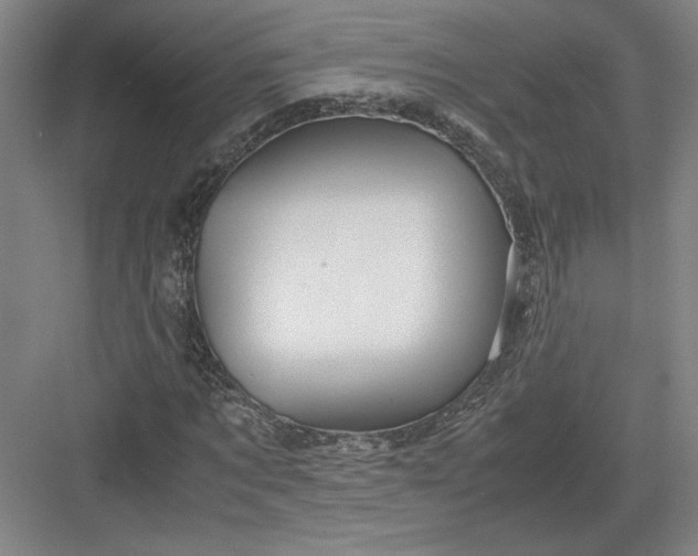 X0000082950869200702152237