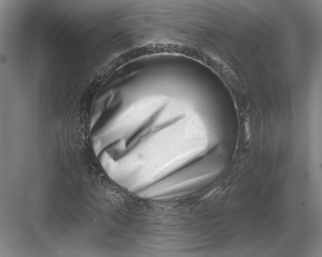 X0000082950870200702152237