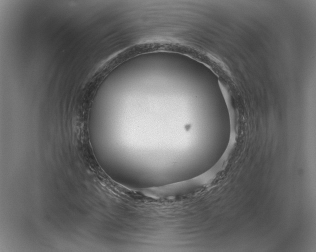 X0000082950872200702152237