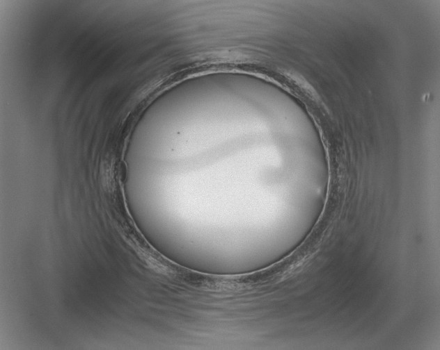 X0000082950873200702152237