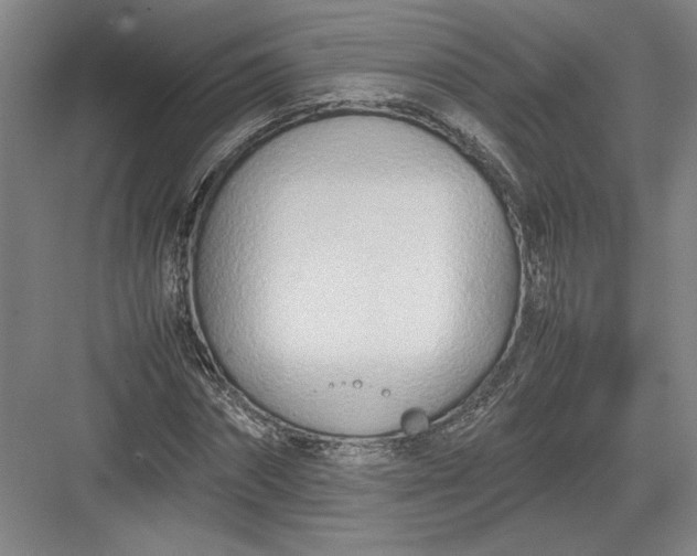 X0000082950874200702152237