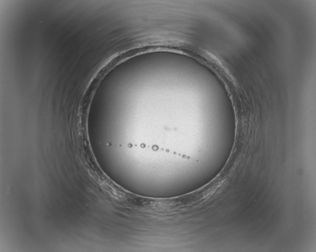 X0000082950875200702152237