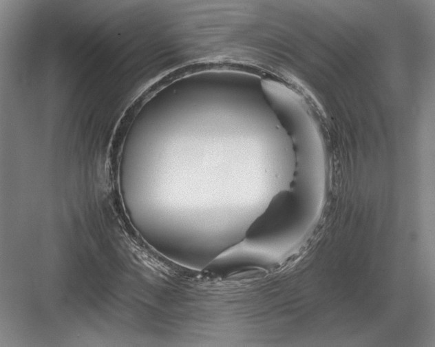 X0000082950876200702152237