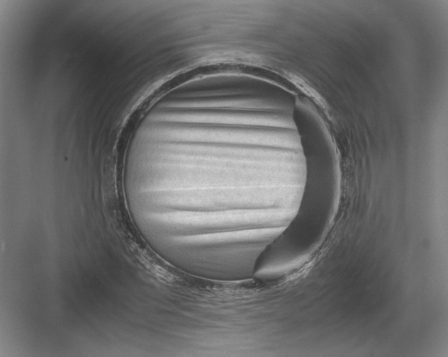 X0000082950877200702152237