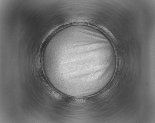 X0000082950878200702152237