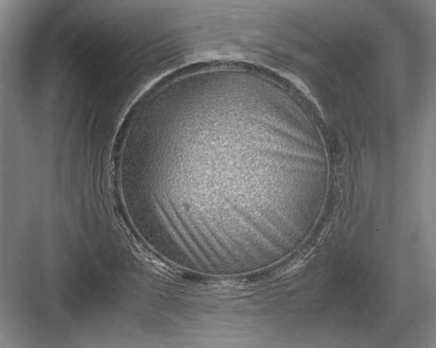 X0000082950879200702152237