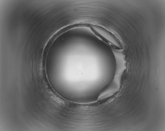 X0000082950880200702152237