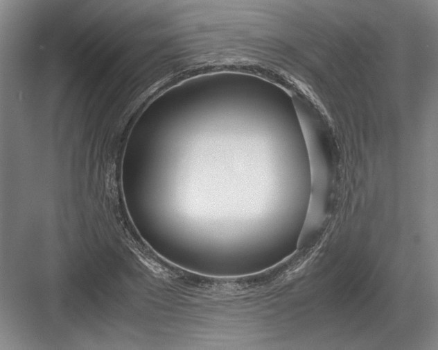 X0000082950881200702152237