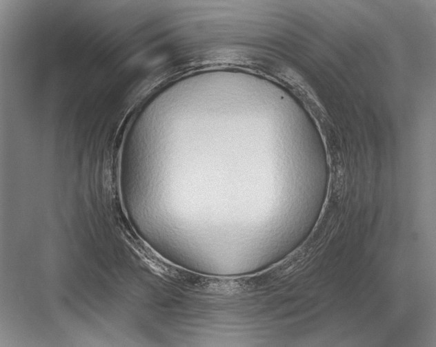 X0000082950882200702152237