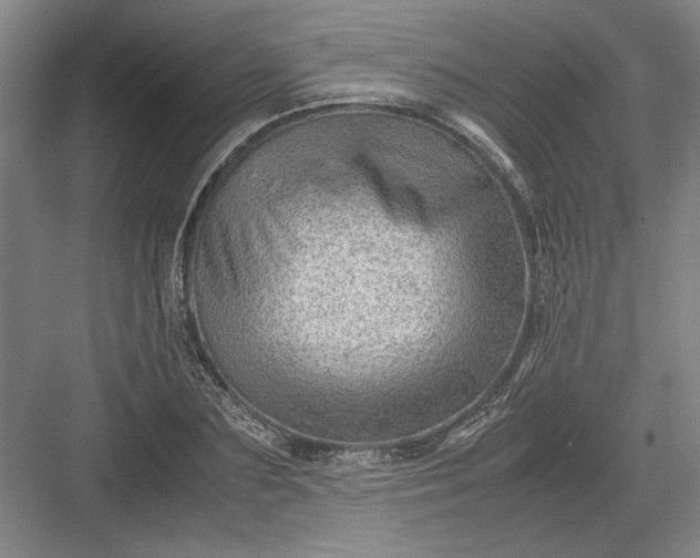 X0000082950883200702152237