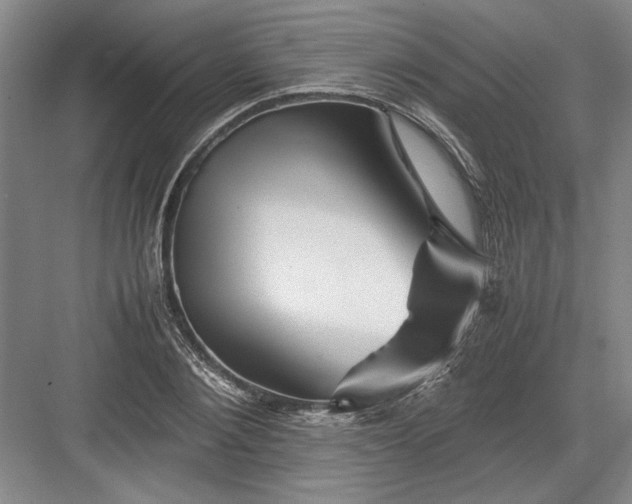 X0000082950884200702152237