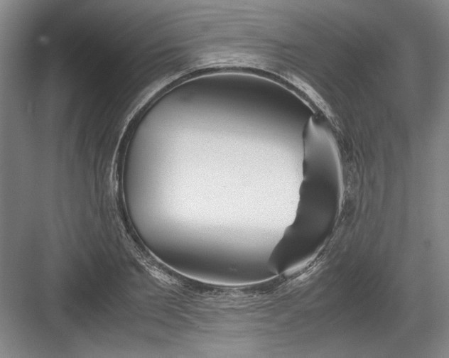 X0000082950885200702152237