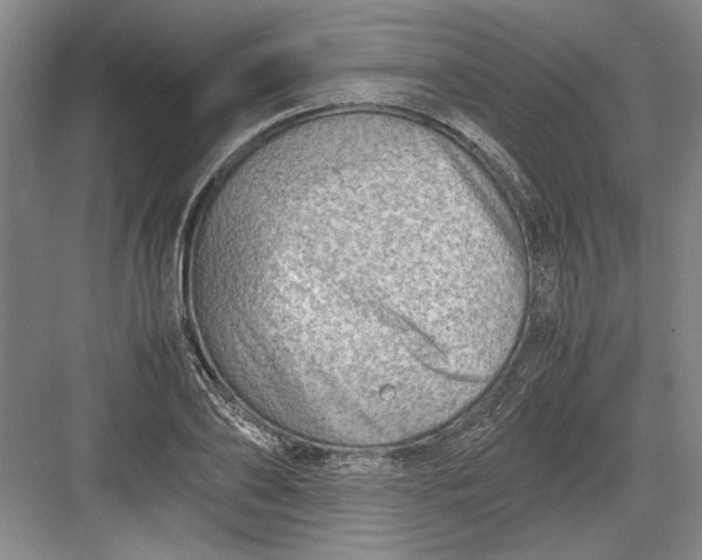 X0000082950886200702152237