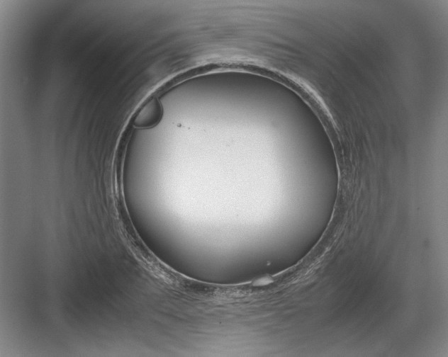 X0000082950887200702152237